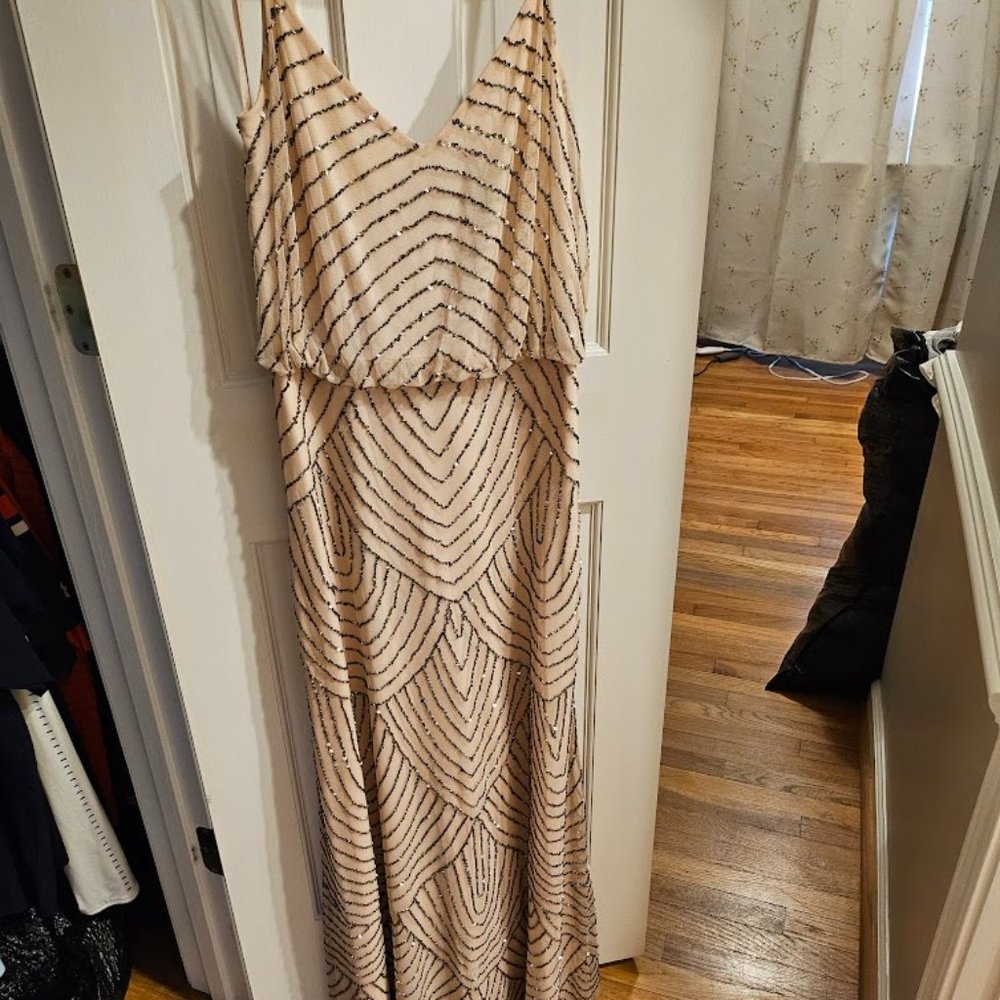 Andrianna Papell Beaded Dress, Size 8, Blush